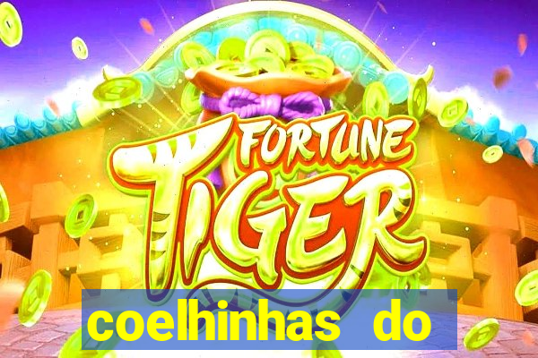 coelhinhas do brasil jp